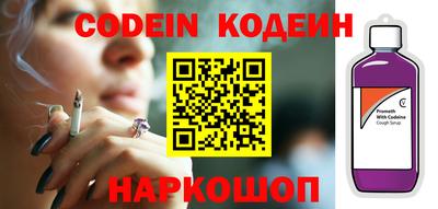 МДПВ Кингисепп