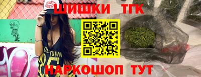 МДПВ Кингисепп