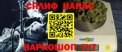 МДПВ Кингисепп