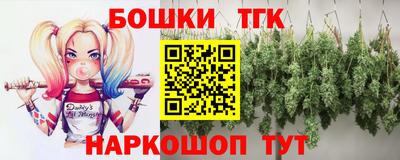 МДПВ Кингисепп