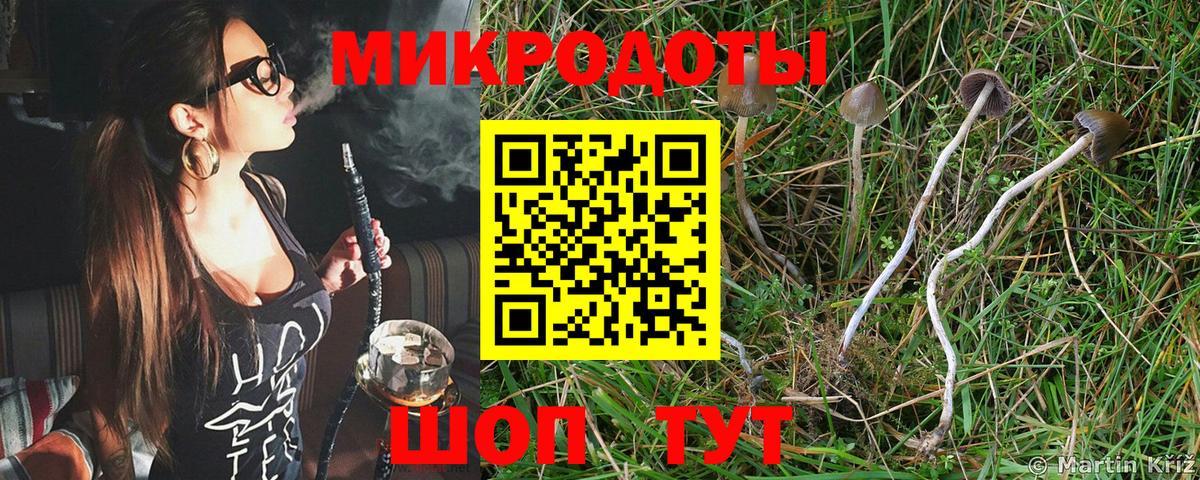 Псилоцибиновые грибы мухоморы Люберцы